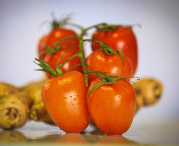 Fresh Fruit and Vegetables