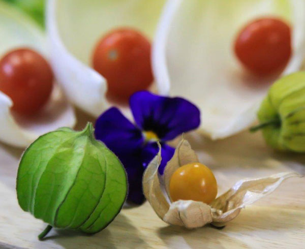 Fresh Fruit and Vegetables